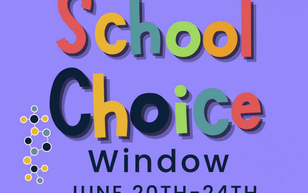 School Choice Window